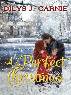 cover image of A Perfect Christmas